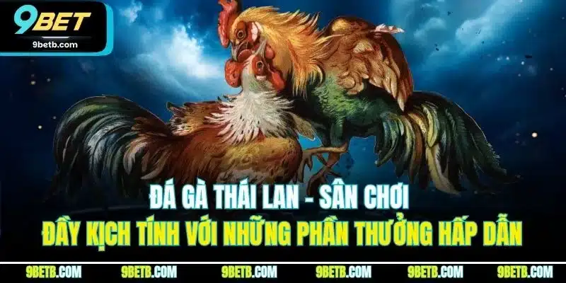 Đá Gà Thái Lan - Trải Nghiệm Cược Đầy Kịch Tính Tại 9BET - xavin.bet