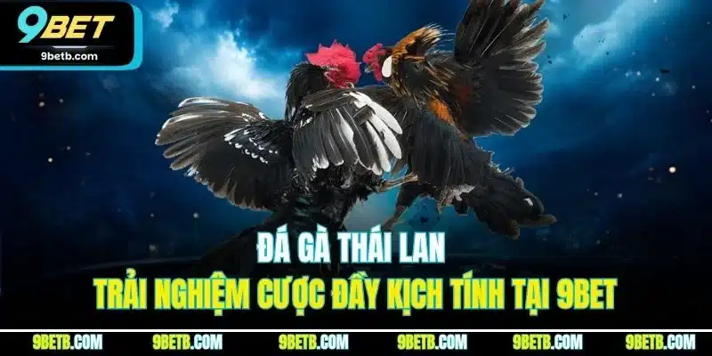 Đá Gà Thái Lan - Trải Nghiệm Cược Đầy Kịch Tính Tại 9BET - xavin.bet