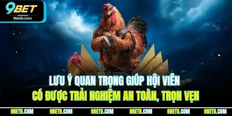 Đá Gà Thái Lan - Trải Nghiệm Cược Đầy Kịch Tính Tại 9BET - xavin.bet