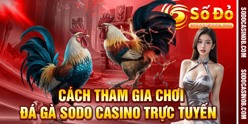 Đá Gà Sodo Casino 2026 - Sân Chơi Trực Tuyến Uy Tín Nhất - xavin.bet