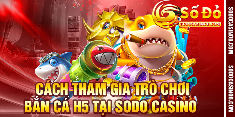 Bắn Cá H5 Tại Sodo Casino – Giải Trí Đỉnh Cao, Thưởng Lớn... - xavin.bet