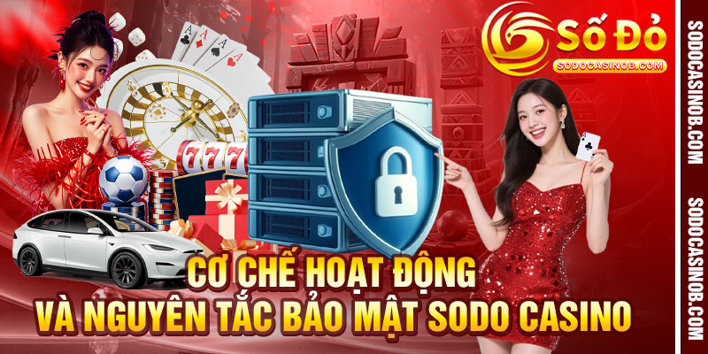 Chính Sách Bảo Mật Sodo Casino 2026 – An Toàn Dữ Liệu - xavin.bet