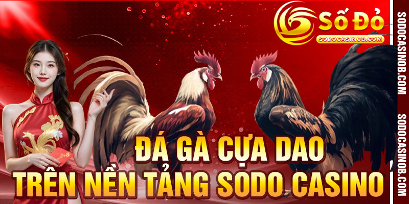Đá Gà Cựa Dao Sodo Casino 2026 – Kịch Tính Đến Từng Giây - xavin.bet