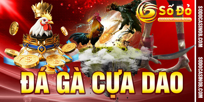 ĐÁ GÀ - sodocasino - xavin.bet