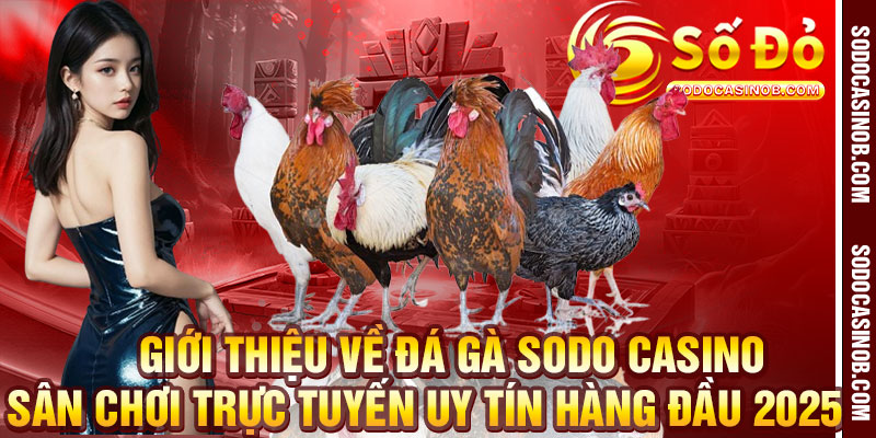 Đá Gà Sodo Casino 2026 - Sân Chơi Trực Tuyến Uy Tín Nhất - xavin.bet
