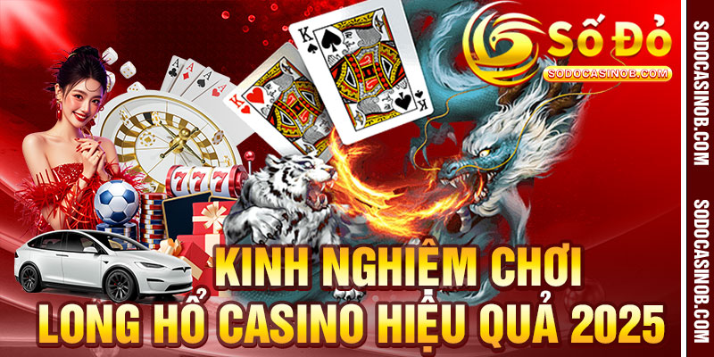 Long Hổ Casino Là Gì? Luật Chơi Và Cách Cược 2026 - xavin.bet