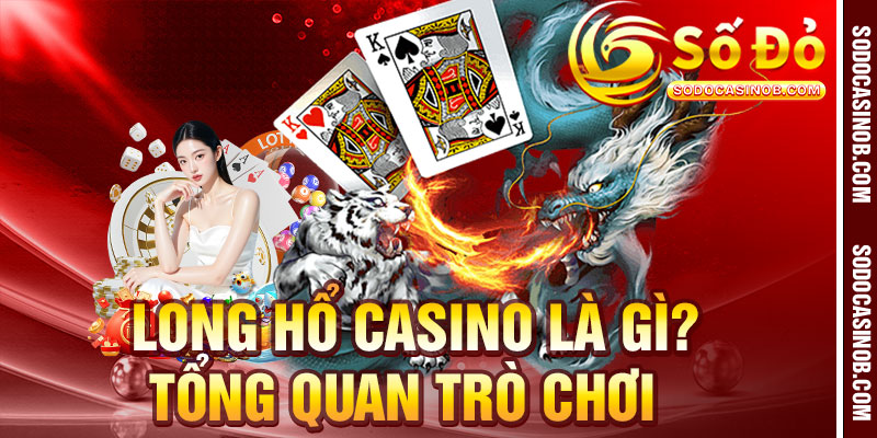Long Hổ Casino Là Gì? Luật Chơi Và Cách Cược 2026 - xavin.bet