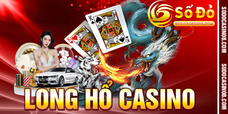 Long Hổ Casino Là Gì? Luật Chơi Và Cách Cược 2026 - xavin.bet