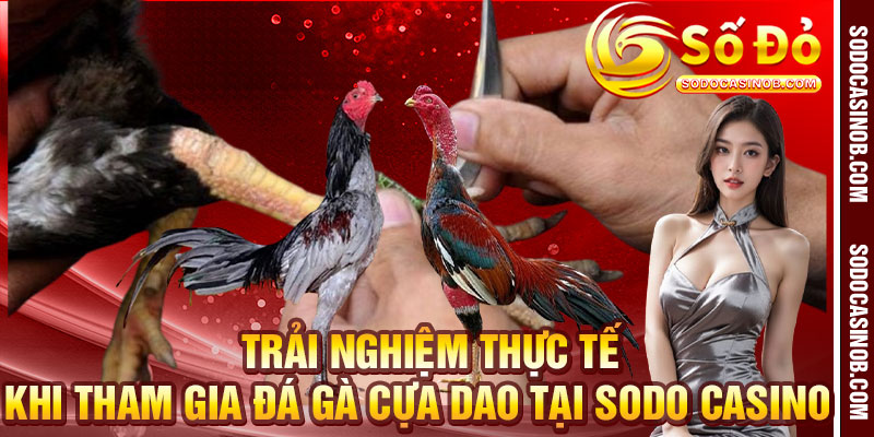 Đá Gà Cựa Dao Sodo Casino 2026 – Kịch Tính Đến Từng Giây - xavin.bet