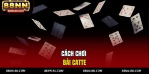 Kênh tổng hợp tin tức mới nhất tại nhà cái 88nn - xavin.bet