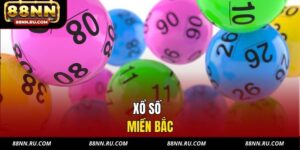 Kênh tổng hợp tin tức mới nhất tại nhà cái 88nn - xavin.bet