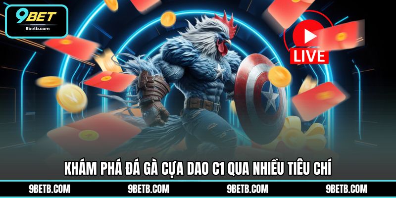 Đá Gà Cựa Dao C1 - Theo Dõi Trận Đấu Hấp Dẫn Tại 9BET - 9BET - xavin.bet Đá Gà Cựa Dao C1 - Theo Dõi Trận Đấu Hấp Dẫn Tại 9BET - 9BET - xavin.bet