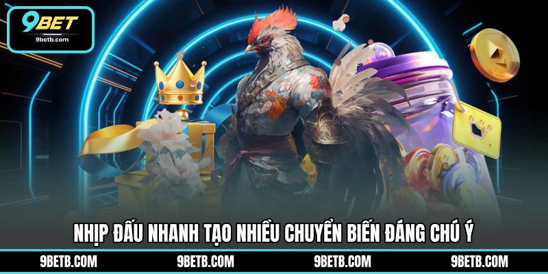 Đá Gà Cựa Dao C1 - Theo Dõi Trận Đấu Hấp Dẫn Tại 9BET - 9BET - xavin.bet Đá Gà Cựa Dao C1 - Theo Dõi Trận Đấu Hấp Dẫn Tại 9BET - 9BET - xavin.bet